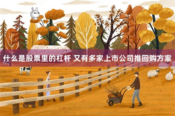 什么是股票里的杠杆 又有多家上市公司推回购方案