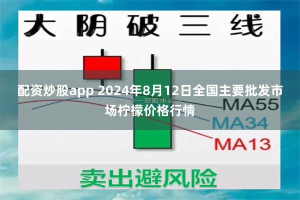 配资炒股app 2024年8月12日全国主要批发市场柠檬价格行情