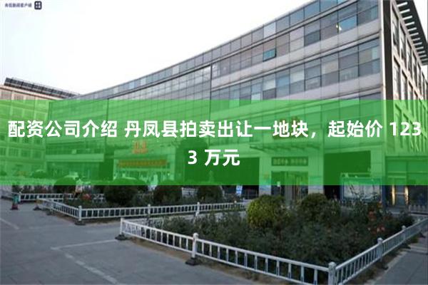 配资公司介绍 丹凤县拍卖出让一地块，起始价 1233 万元