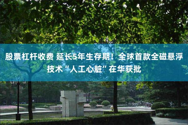 股票杠杆收费 延长5年生存期！全球首款全磁悬浮技术“人工心脏”在华获批