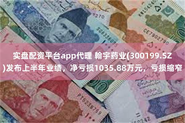 实盘配资平台app代理 翰宇药业(300199.SZ)发布上半年业绩，净亏损1035.88万元，亏损缩窄