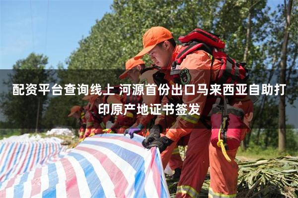 配资平台查询线上 河源首份出口马来西亚自助打印原产地证书签发