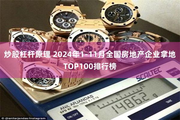 炒股杠杆原理 2024年1-11月全国房地产企业拿地TOP100排行榜