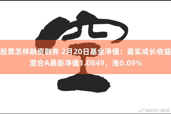 股票怎样融资融券 2月20日基金净值：嘉实成长收益混合A最新净值1.0849，涨0.09%