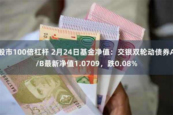 股市100倍杠杆 2月24日基金净值：交银双轮动债券A/B最新净值1.0709，跌0.08%